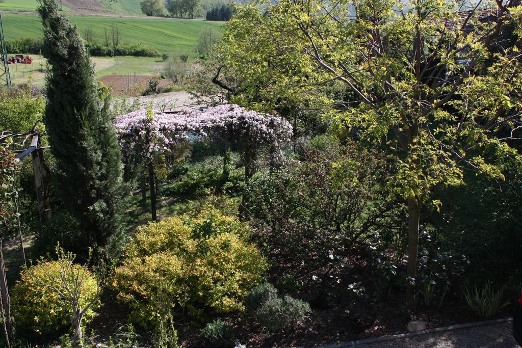 B&B La Casetta Villaromagnano ภายนอก รูปภาพ